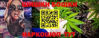 стаф Лесосибирск
